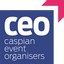 CEO LLC